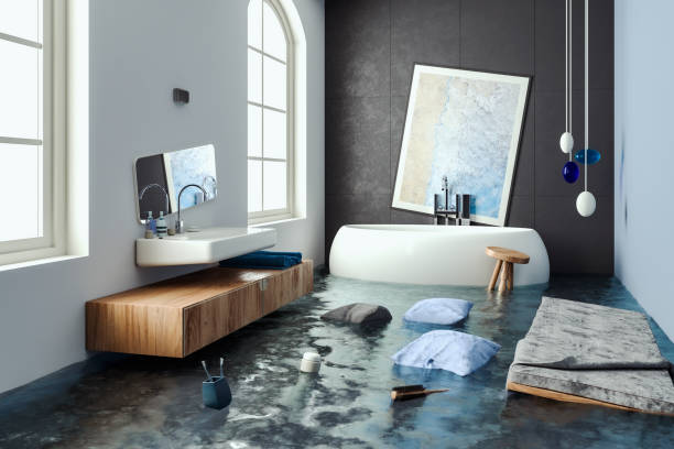 Best Basement water damage restoration  in Santa Rosa, CA