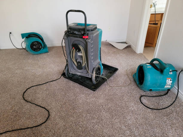 Water damage restoration process in Santa Rosa, CA