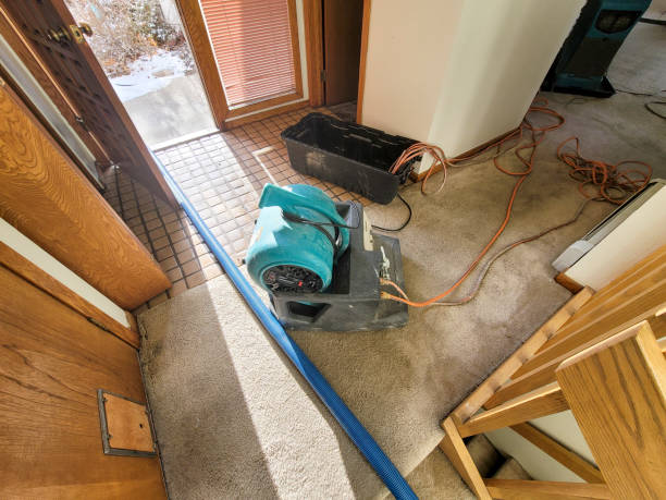 Best Flood damage cleanup  in Santa Rosa, CA
