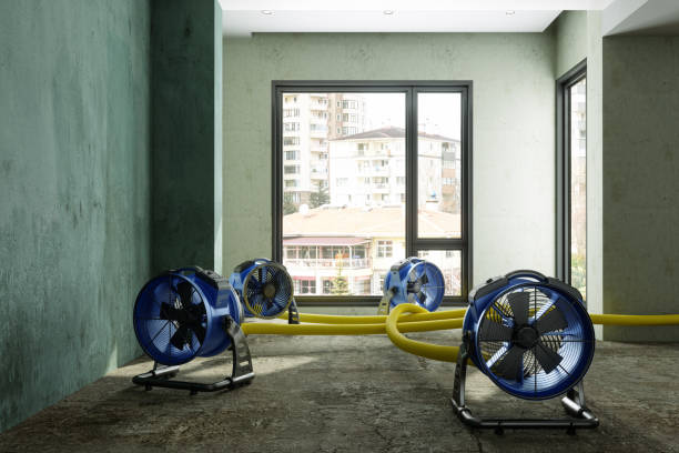 Best Water damage restoration company  in Santa Rosa, CA