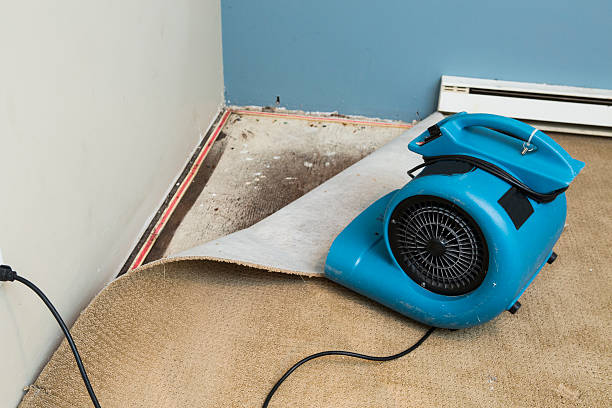 Santa Rosa, CA Water damage restoration Company